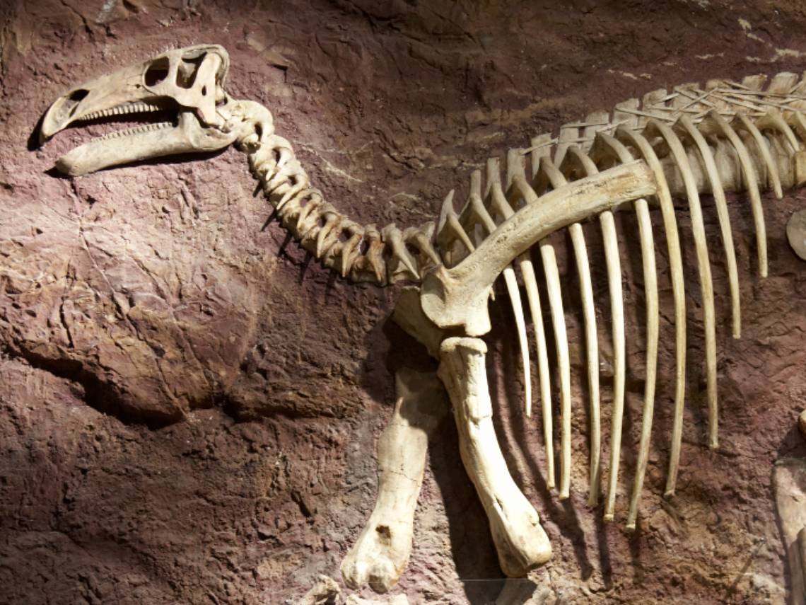 Dinosaurio