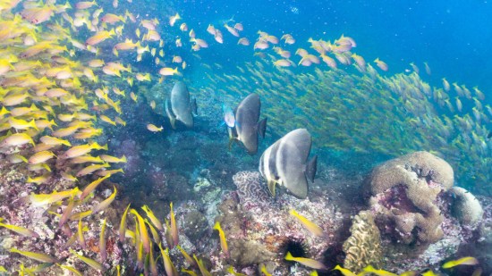 Biodiversidad
