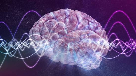cerebro
