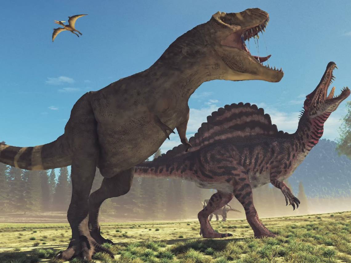 Tyrannosaurus rex  y Spinosaurus