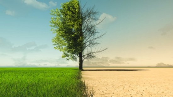 Cambio climático
