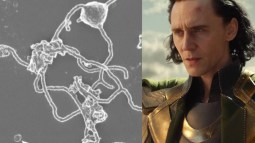Las arqueas de Loki, Thor, Odin, y otras arqueas de Asgard