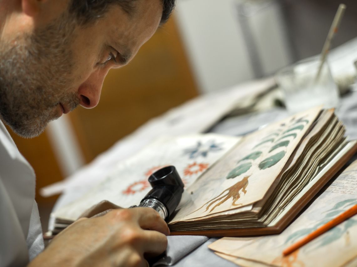 manuscrito Voynich