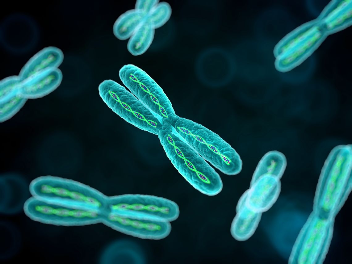 Cromosomas humanos