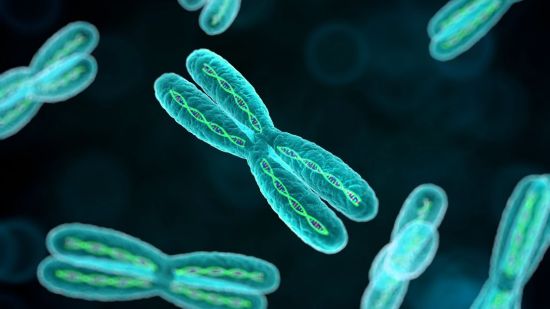 Cromosomas humanos