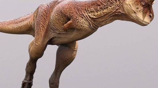 Carnotaurus