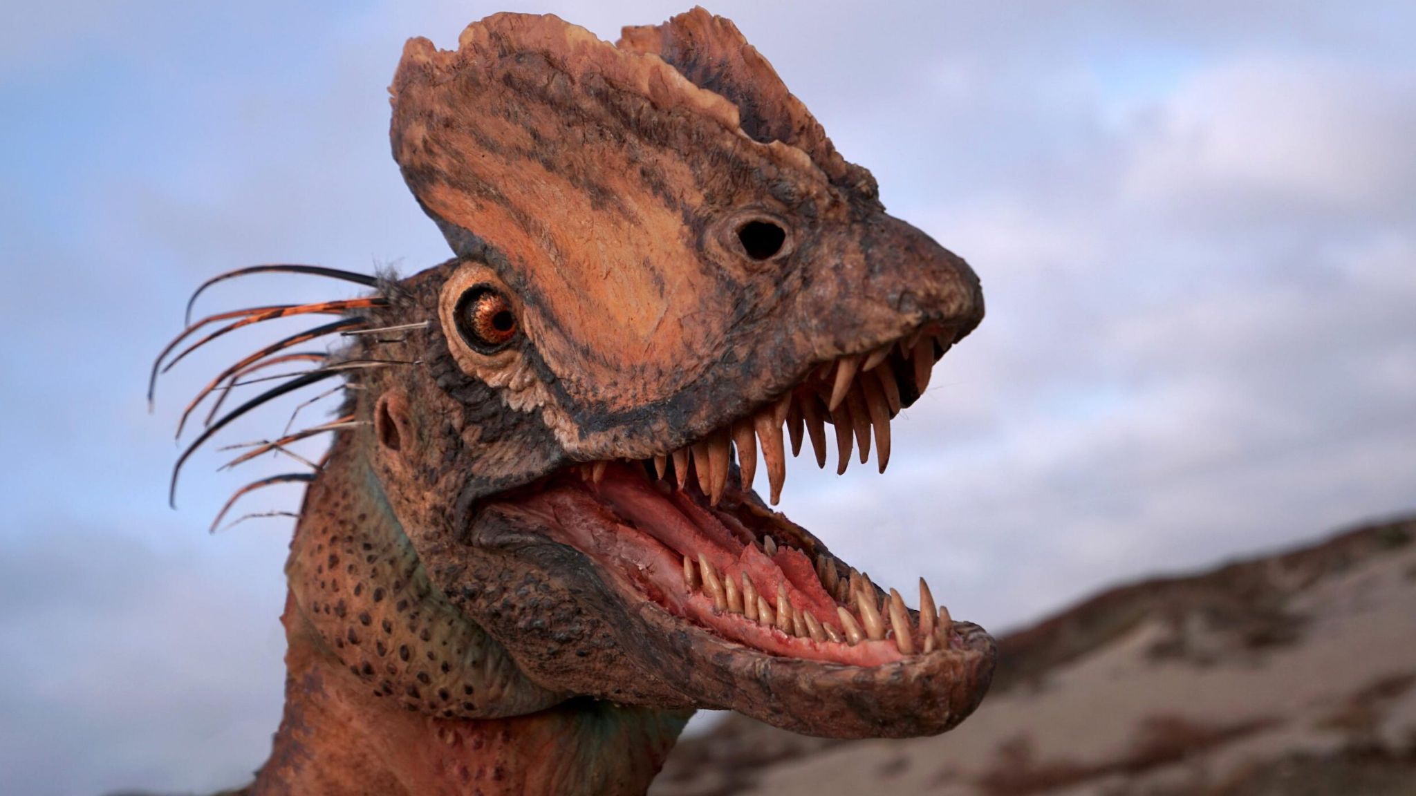 Dilophosaurus