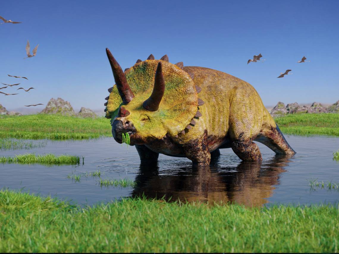 Dibujo de un Triceratops