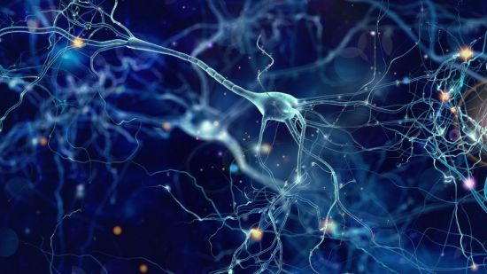 Las enfermedades más comunes del sistema nervioso