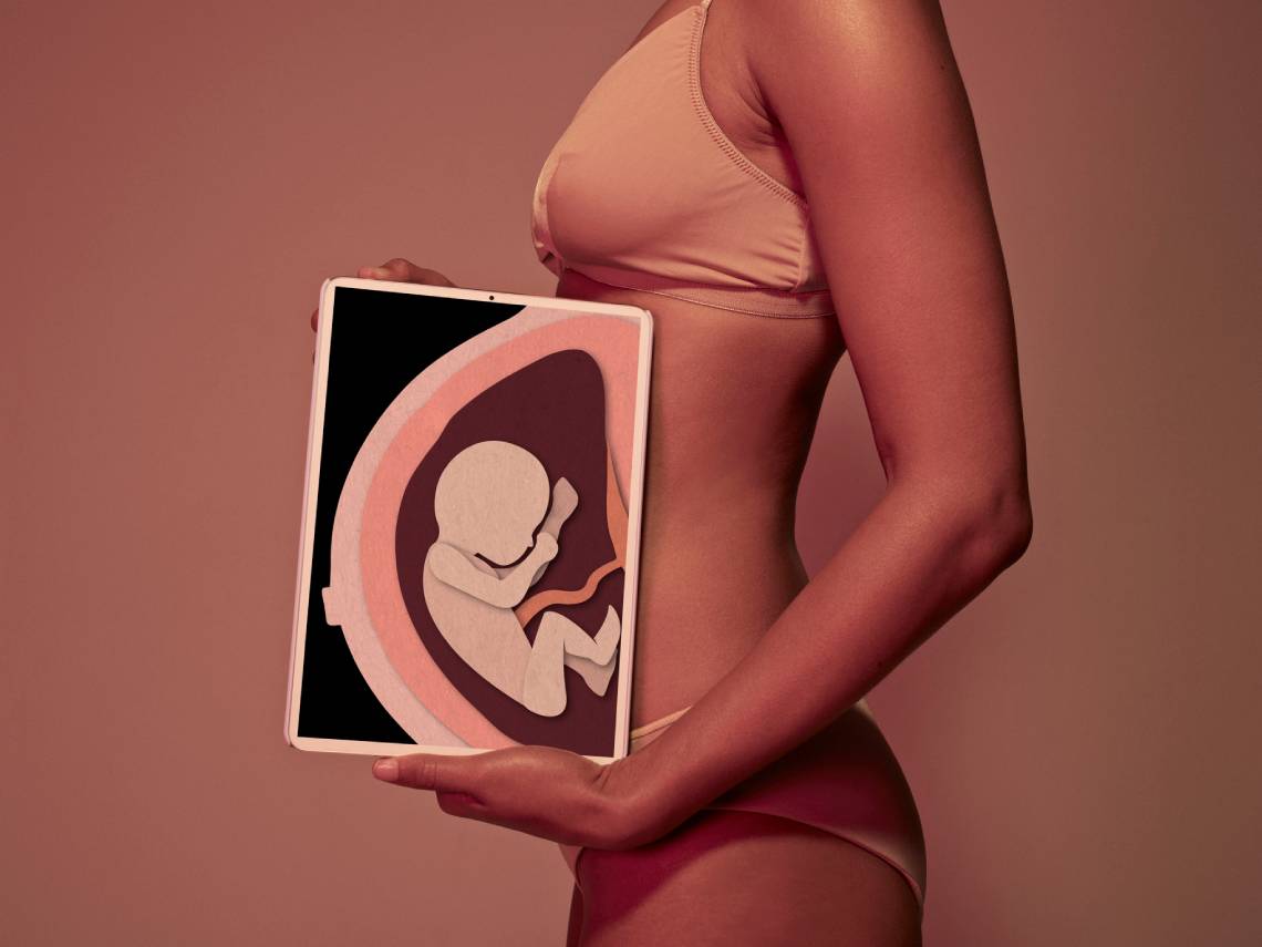 Infografía. Mujer embarazada, feto como radiografía