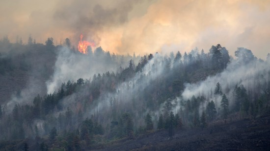 Incendio forestal