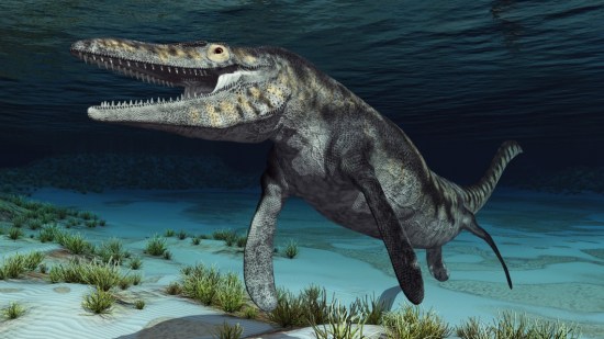 nuevo-mosasaurus