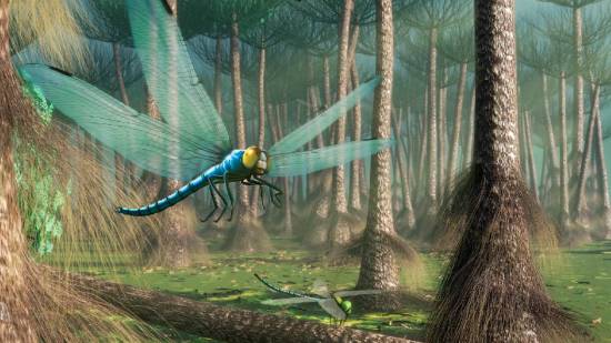 Ilustración del carbonífero, un insecto gigante