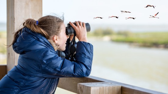 niña observando aves