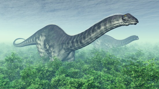 apatosaurus