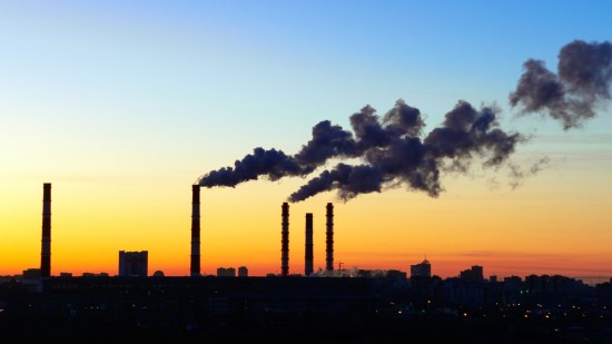 ciclo del carbono