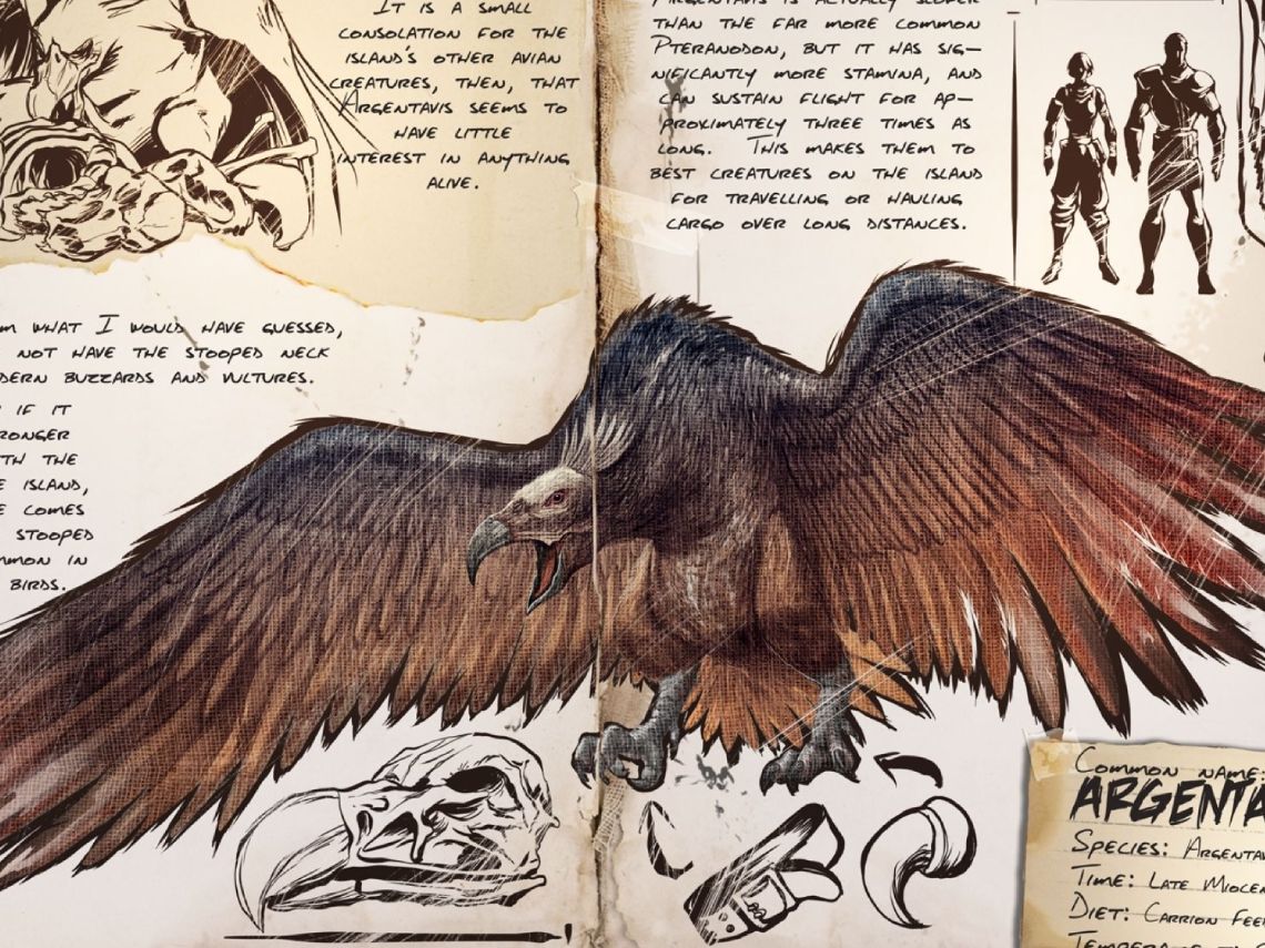 Argentavis magnificens. Dibujo ave prehistórica