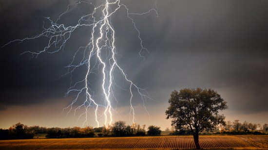 Tormenta y árbol