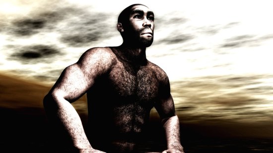 Homo erectus