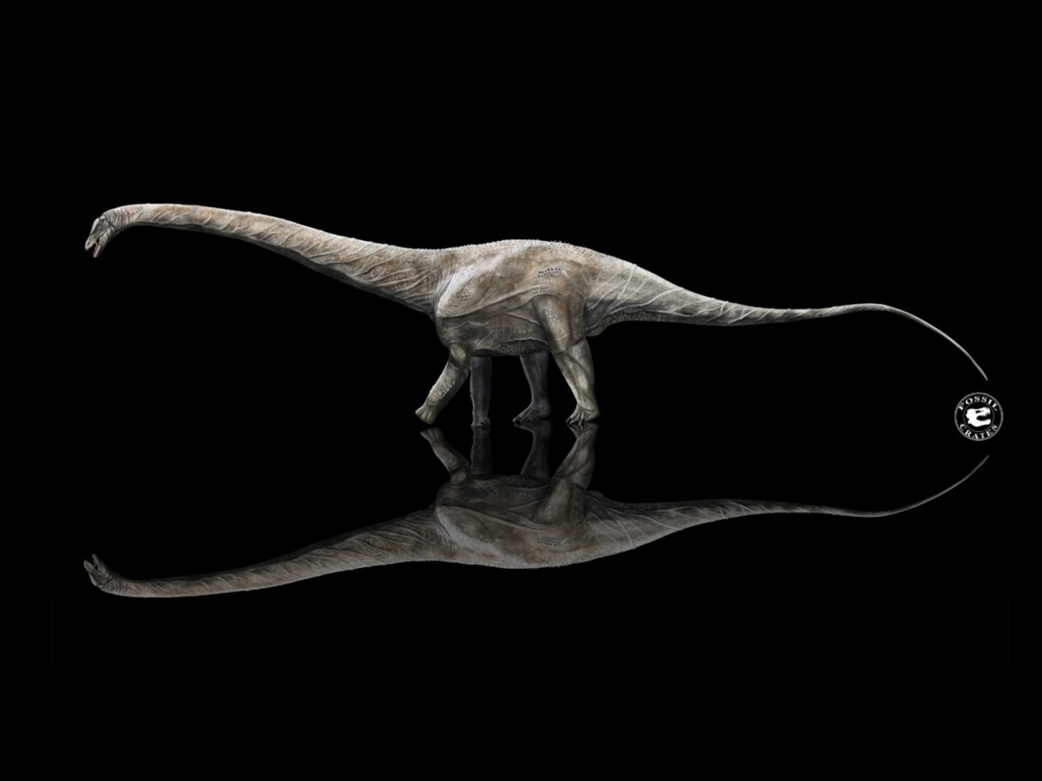 supersaurus