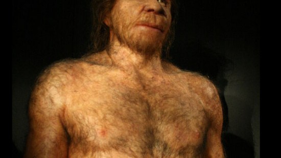 ¿Quiénes fueron los antepasados de los neandertales?