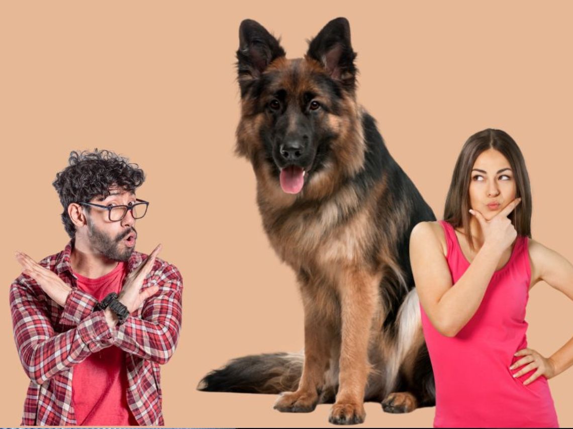 Composición pareja con perro detrás