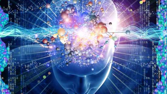 cerebro