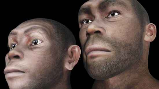 rostro-evolu