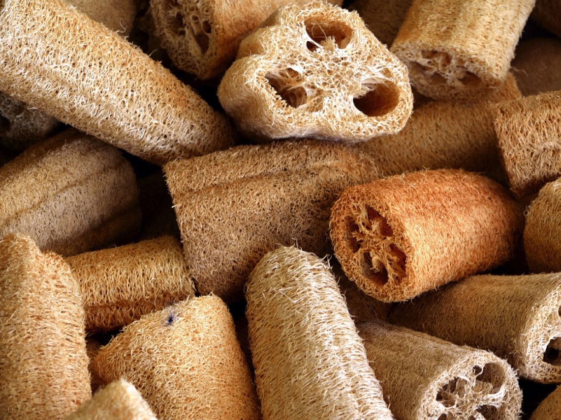 Esponjas Luffa