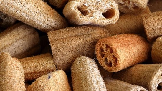 Esponjas Luffa
