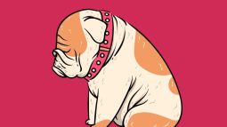 Dibujo, perro triste
