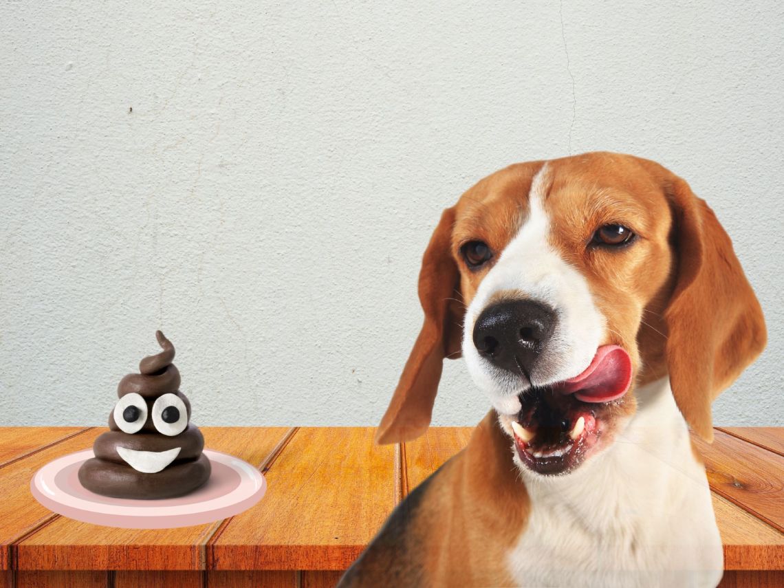 Composición. Perro con el emoji de la caca