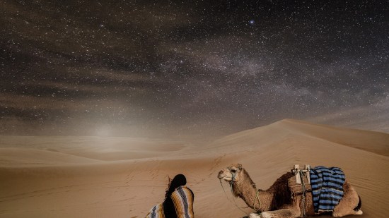 desierto