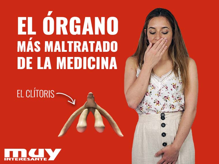 El clítoris: historia de un órgano maltratado