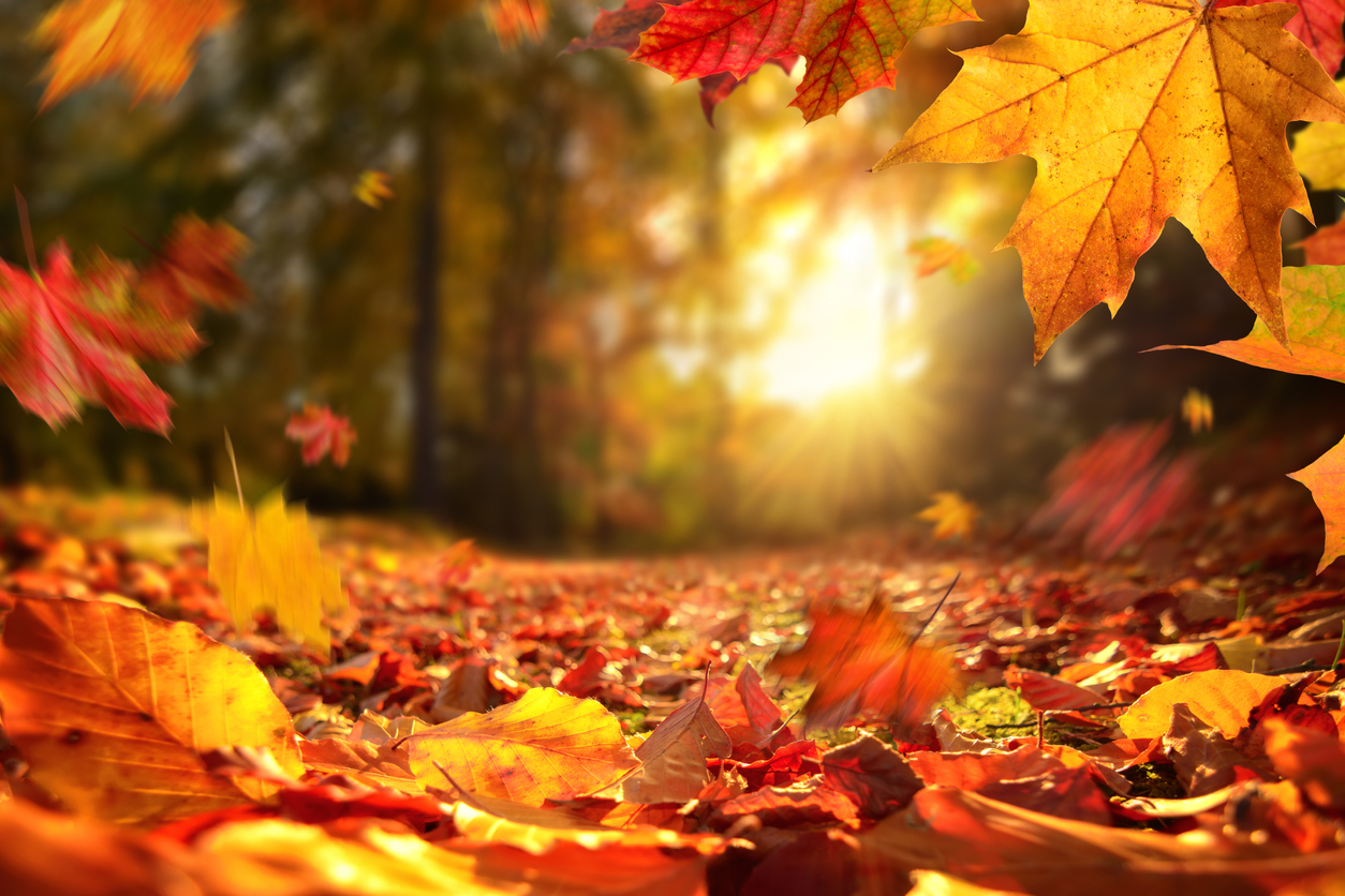 otoño