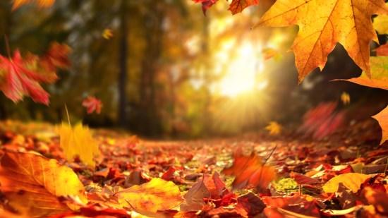 otoño