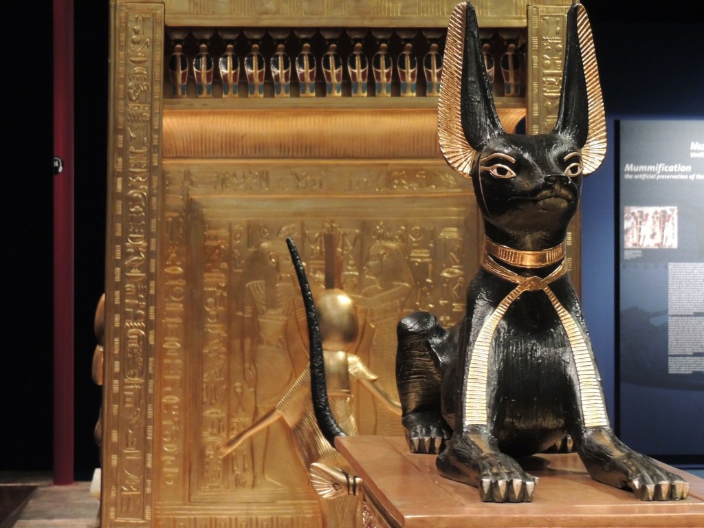 gato egipcio