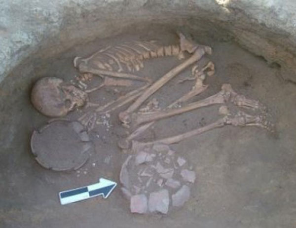 Nuestros ancestros ya usaban plantas medicinales hace miles de años