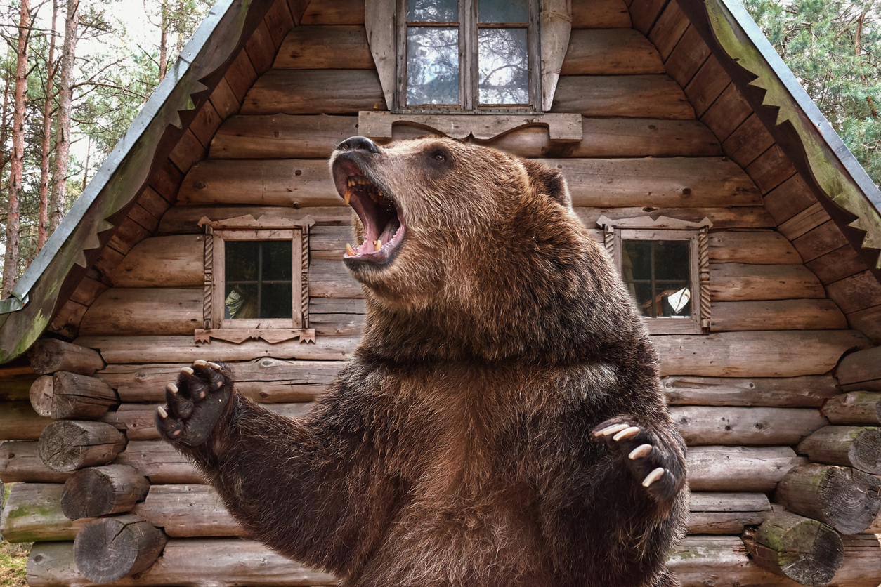oso