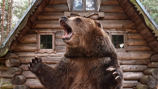 oso