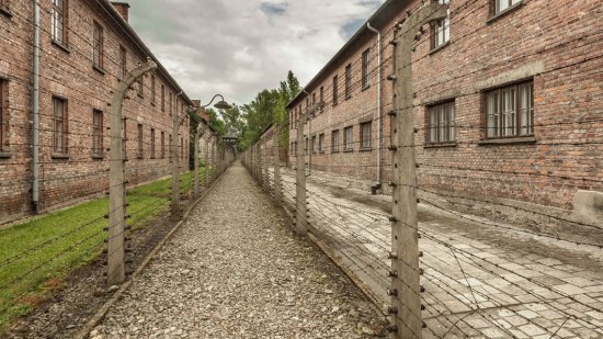 Cómo evitar otro Holocausto