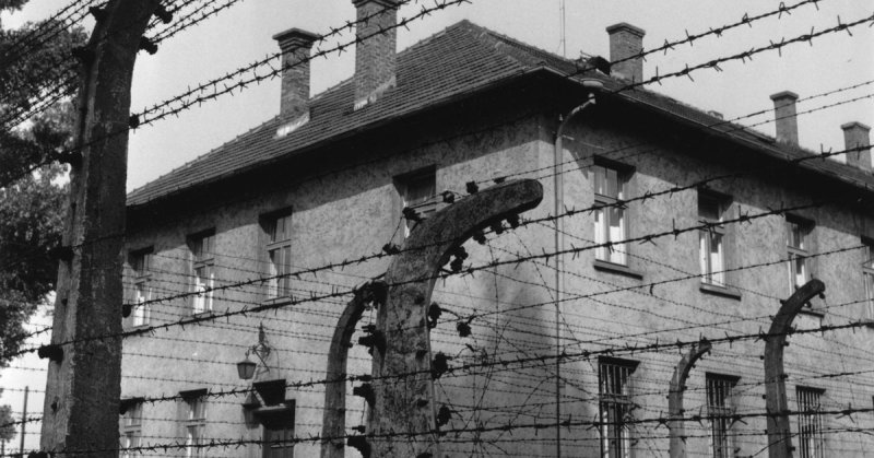 Así fue el Holocausto nazi
