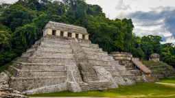 mayas