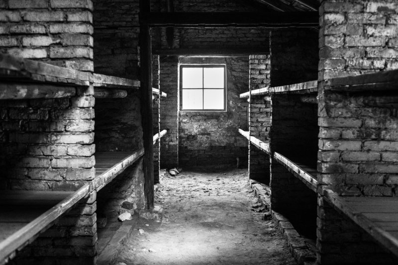 Libros para entender el Holocausto