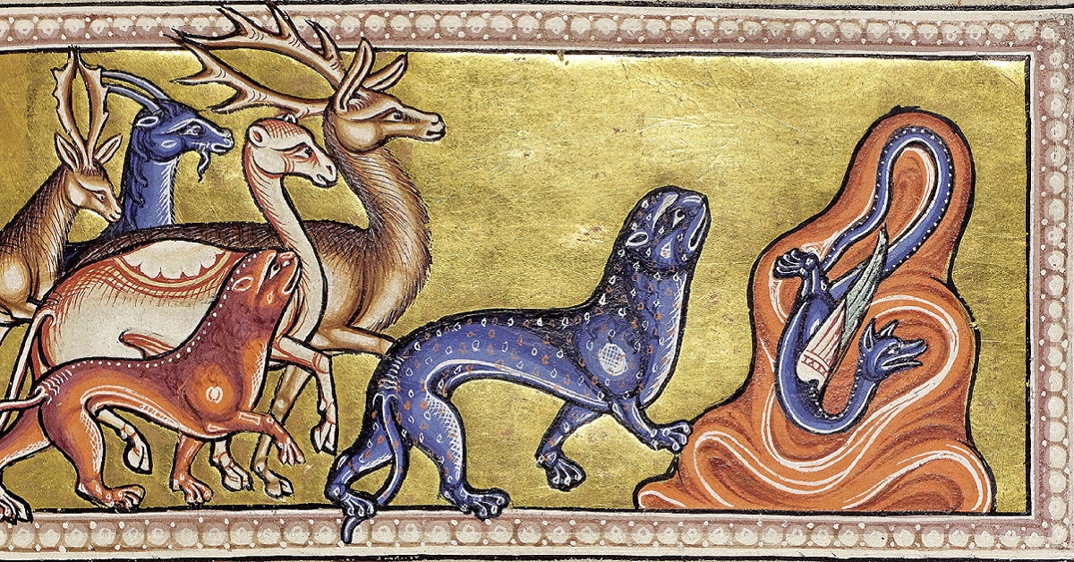 Bestiario pantera