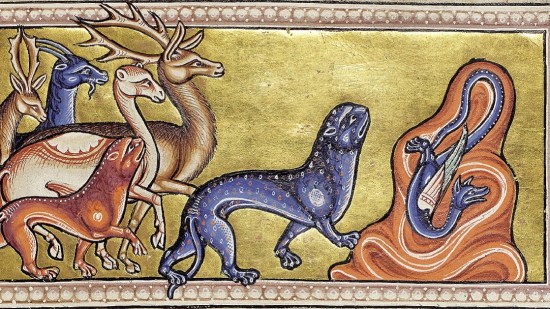Bestiario pantera