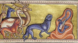 Bestiario pantera