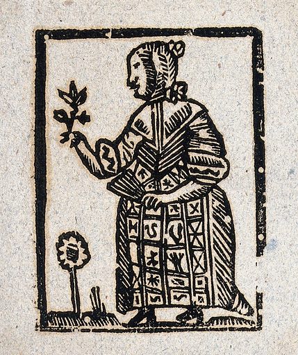 ¿Qué drogas contenía el misterioso 'potaje verde' de las brujas?