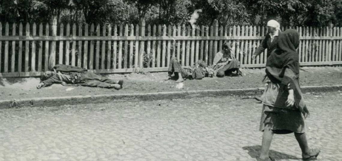 Holomodor