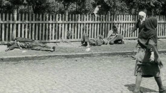 Holomodor